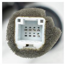 Load image into Gallery viewer, Calavera Dolphin mini 25-26 Led der.