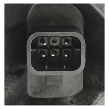 Load image into Gallery viewer, Calavera Malibu 97-03 c/focos exterior izq.