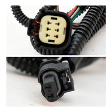 Cargar imagen en el visor de la galería, Calavera Sierra 19-22 Led der.