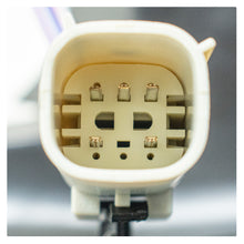 Load image into Gallery viewer, Calavera Expedition 18-21 Led Der.