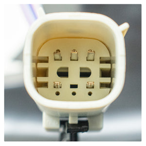 Calavera Expedition 18-21 Led Der.