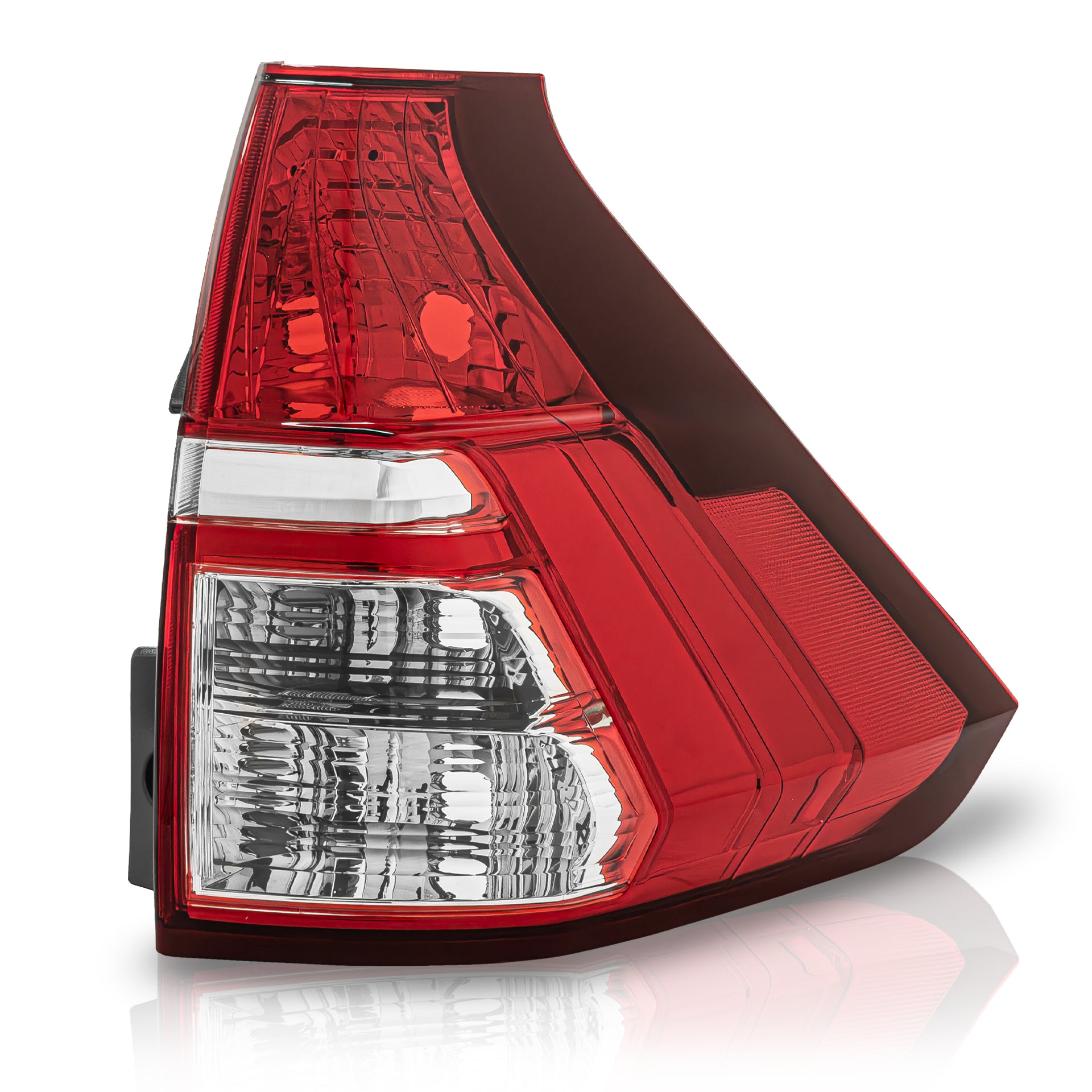 Calavera Crv 15-16 inferior der.