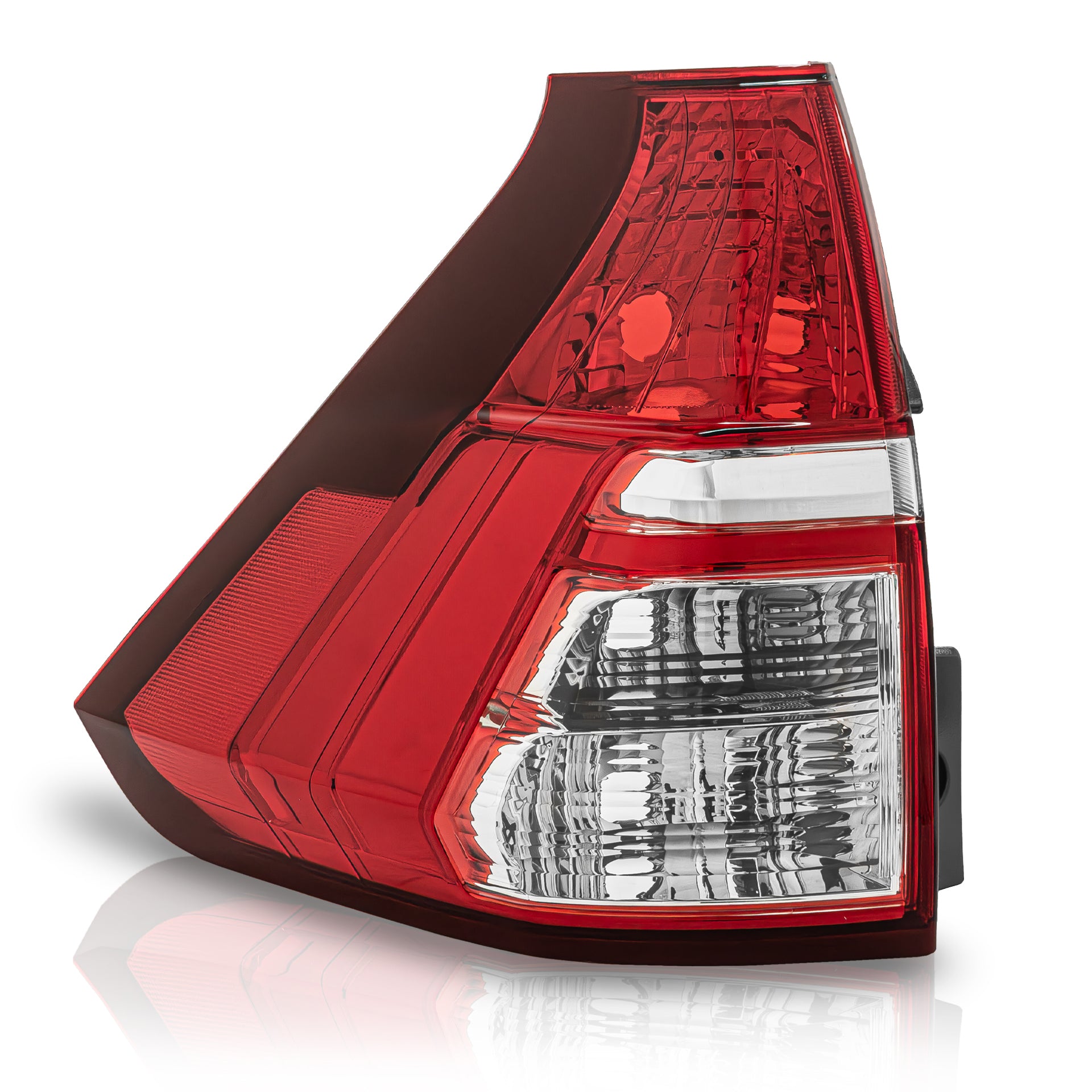Calavera Crv 15-16 inferior izq.