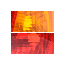 Load image into Gallery viewer, Calavera Platina 02-08 der.