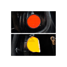 Load image into Gallery viewer, Calavera Platina 02-08 der.