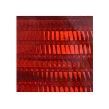 Load image into Gallery viewer, Calavera Jetta 00-03 roja der.